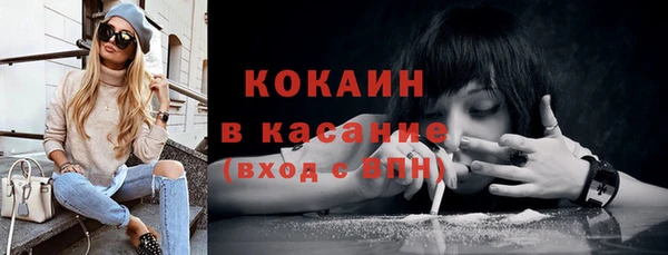 сатива Сатка