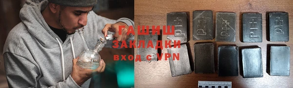 сатива Сатка