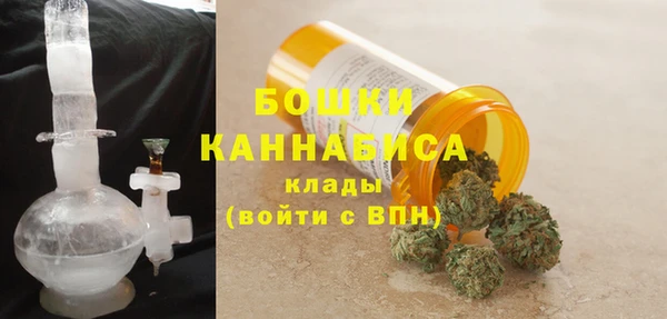 сатива Сатка