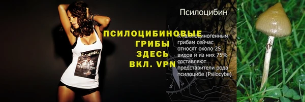 эйфоретик Сафоново