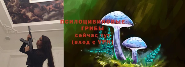 эйфоретик Сафоново