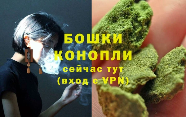 ПСИЛОЦИБИНОВЫЕ ГРИБЫ Саяногорск