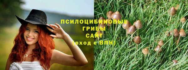 сатива Сатка