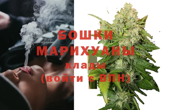 ПСИЛОЦИБИНОВЫЕ ГРИБЫ Саяногорск