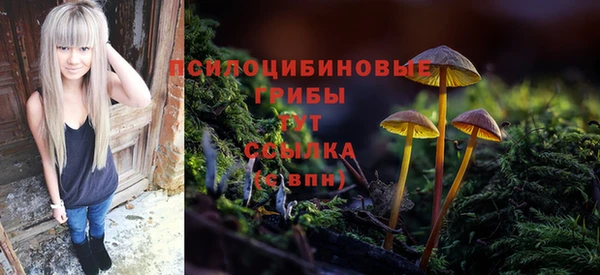 эйфоретик Сафоново