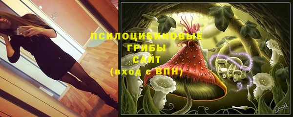 ПСИЛОЦИБИНОВЫЕ ГРИБЫ Саяногорск