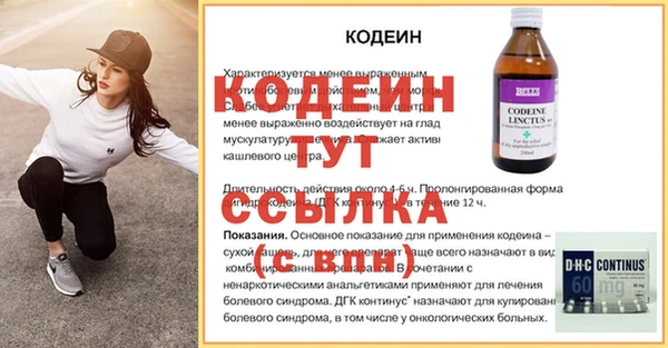сатива Сатка