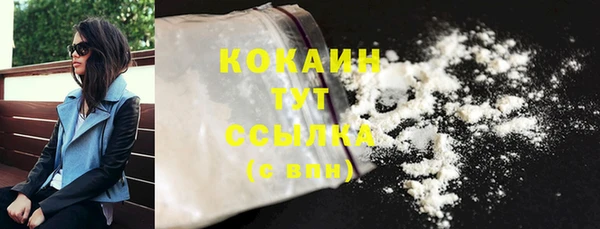 сатива Сатка